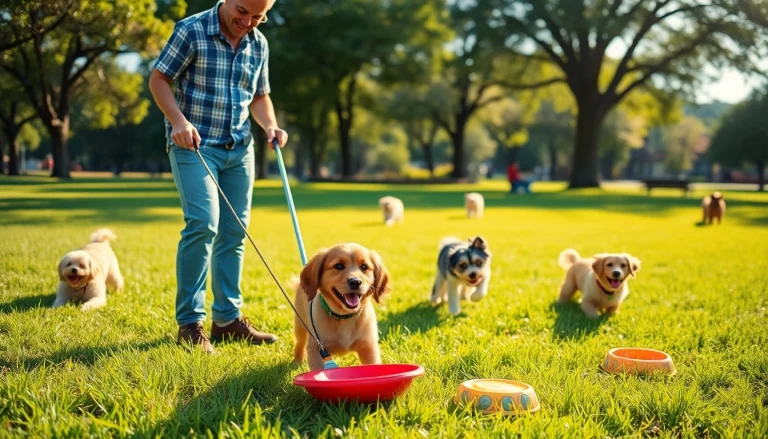Affordable Pooper Scooper Service in San Antonio: Clean Yards for Happy Pets